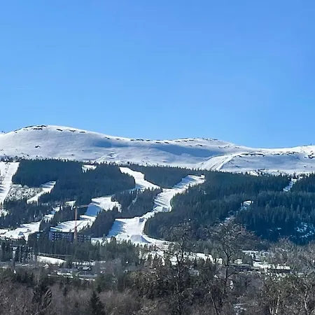 1 Bedroom Amazing In Apartamento *