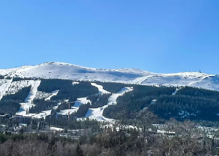 1 Bedroom Amazing In Apartamento *